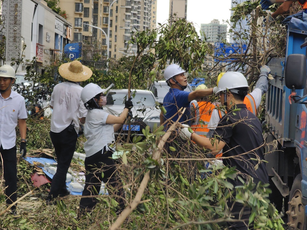 抗击台风,重建海南——海南分公司党支部组织志愿者清障行动.jpg